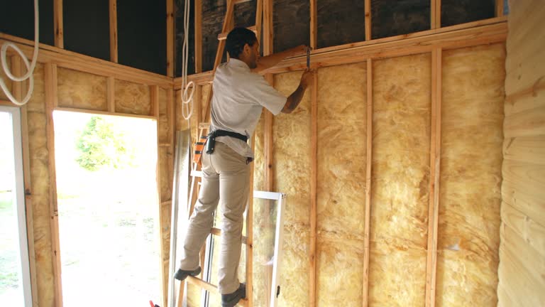 Best Insulation for New Construction  in Lone Tree, IA